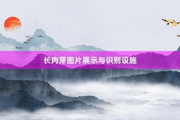 长肉芽图片展示与识别设施