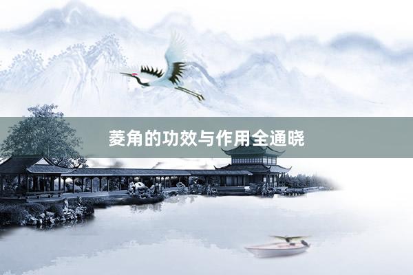 菱角的功效与作用全通晓