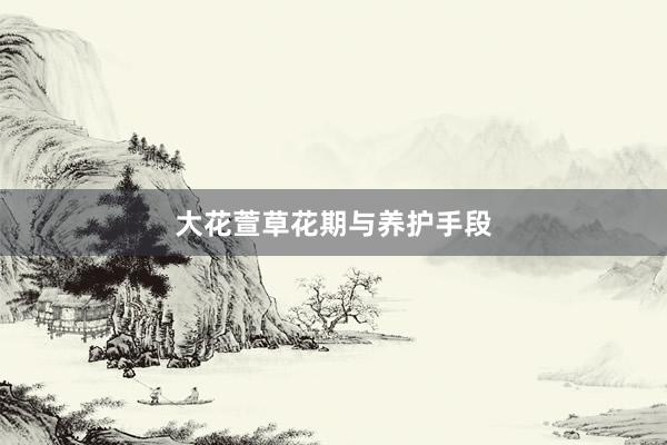 大花萱草花期与养护手段