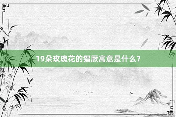 19朵玫瑰花的猖厥寓意是什么？
